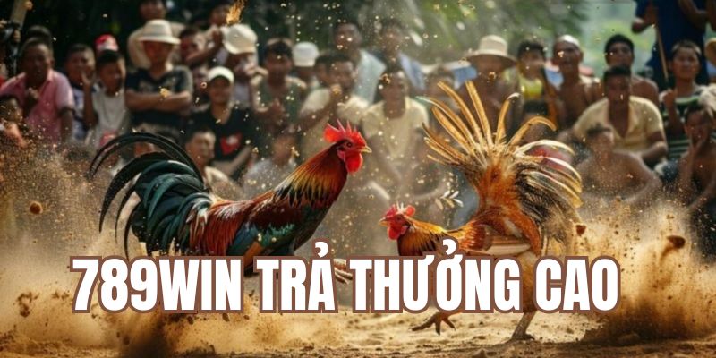 Trả thưởng hoành tráng khi giải trí 