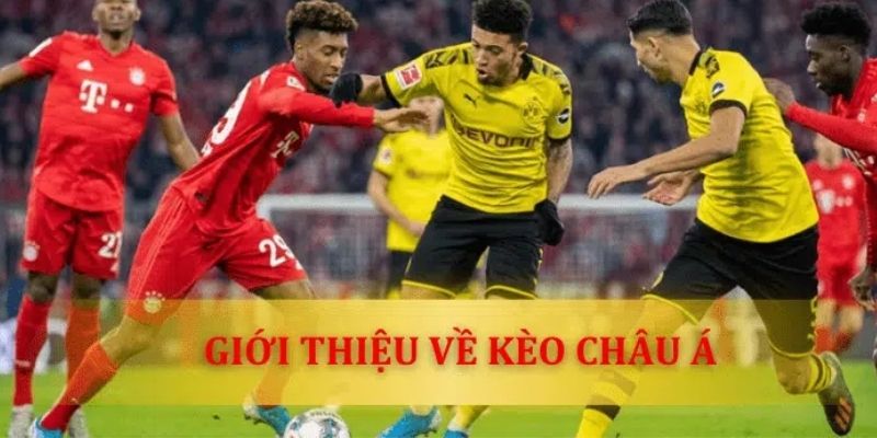 Kèo Châu Á được quy định rõ ràng khi tham gia