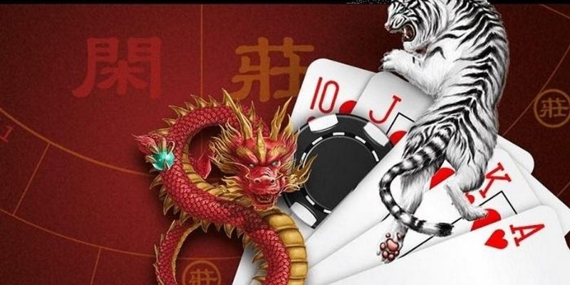 Rồng hổ 789win yêu cầu người chơi cần hiểu rõ các quy luật